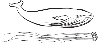 Самая нужная книга для самого нужного места. 1000 невероятных фактов, которых вы не знали - i_014.png