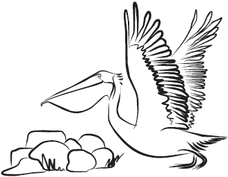 Самая нужная книга для самого нужного места. 1000 невероятных фактов, которых вы не знали - i_023.png