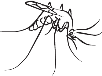 Самая нужная книга для самого нужного места. 1000 невероятных фактов, которых вы не знали - i_026.png