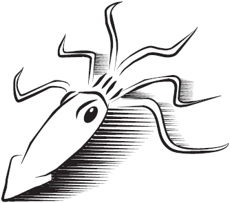 Самая нужная книга для самого нужного места. 1000 невероятных фактов, которых вы не знали - i_028.png