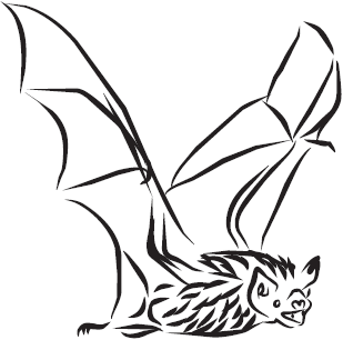 Самая нужная книга для самого нужного места. 1000 невероятных фактов, которых вы не знали - i_029.png