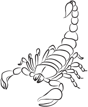 Самая нужная книга для самого нужного места. 1000 невероятных фактов, которых вы не знали - i_034.png