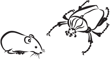 Самая нужная книга для самого нужного места. 1000 невероятных фактов, которых вы не знали - i_038.png