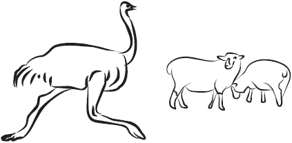 Самая нужная книга для самого нужного места. 1000 невероятных фактов, которых вы не знали - i_049.png