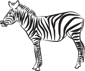 Самая нужная книга для самого нужного места. 1000 невероятных фактов, которых вы не знали - i_056.png