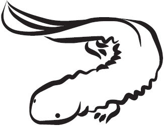 Самая нужная книга для самого нужного места. 1000 невероятных фактов, которых вы не знали - i_060.png