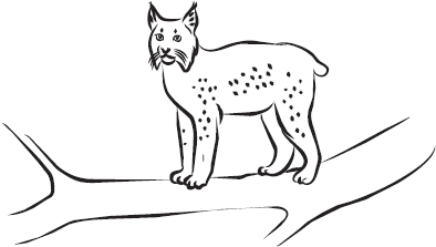 Самая нужная книга для самого нужного места. 1000 невероятных фактов, которых вы не знали - i_062.png