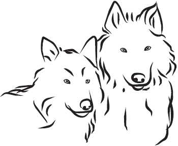 Самая нужная книга для самого нужного места. 1000 невероятных фактов, которых вы не знали - i_065.png