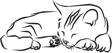 Самая нужная книга для самого нужного места. 1000 невероятных фактов, которых вы не знали - i_067.png