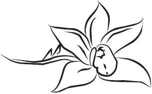 Самая нужная книга для самого нужного места. 1000 невероятных фактов, которых вы не знали - i_074.png