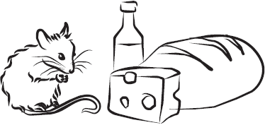 Самая нужная книга для самого нужного места. 1000 невероятных фактов, которых вы не знали - i_076.png