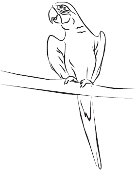 Самая нужная книга для самого нужного места. 1000 невероятных фактов, которых вы не знали - i_079.png