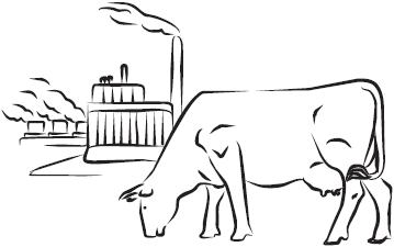 Самая нужная книга для самого нужного места. 1000 невероятных фактов, которых вы не знали - i_080.png