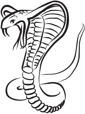 Самая нужная книга для самого нужного места. 1000 невероятных фактов, которых вы не знали - i_081.png