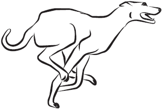 Самая нужная книга для самого нужного места. 1000 невероятных фактов, которых вы не знали - i_082.png