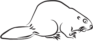 Самая нужная книга для самого нужного места. 1000 невероятных фактов, которых вы не знали - i_084.png