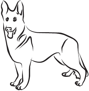 Самая нужная книга для самого нужного места. 1000 невероятных фактов, которых вы не знали - i_087.png