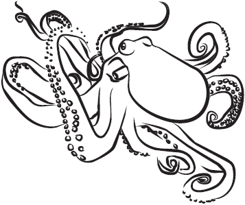 Самая нужная книга для самого нужного места. 1000 невероятных фактов, которых вы не знали - i_092.png