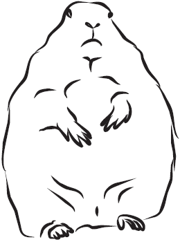 Самая нужная книга для самого нужного места. 1000 невероятных фактов, которых вы не знали - i_093.png