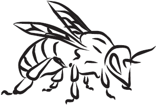 Самая нужная книга для самого нужного места. 1000 невероятных фактов, которых вы не знали - i_103.png