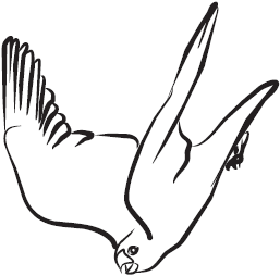 Самая нужная книга для самого нужного места. 1000 невероятных фактов, которых вы не знали - i_104.png