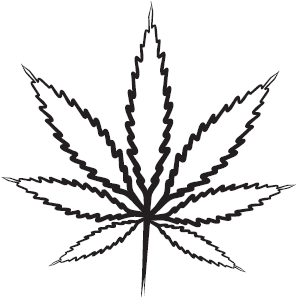 Самая нужная книга для самого нужного места. 1000 невероятных фактов, которых вы не знали - i_108.png