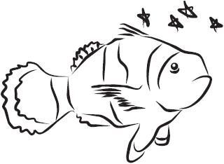 Самая нужная книга для самого нужного места. 1000 невероятных фактов, которых вы не знали - i_114.png