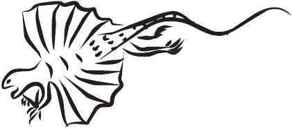 Самая нужная книга для самого нужного места. 1000 невероятных фактов, которых вы не знали - i_115.png