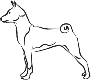 Самая нужная книга для самого нужного места. 1000 невероятных фактов, которых вы не знали - i_117.png