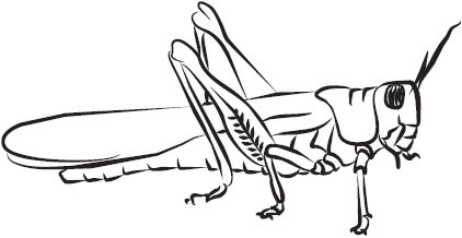 Самая нужная книга для самого нужного места. 1000 невероятных фактов, которых вы не знали - i_119.png