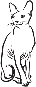 Самая нужная книга для самого нужного места. 1000 невероятных фактов, которых вы не знали - i_120.png