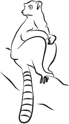 Самая нужная книга для самого нужного места. 1000 невероятных фактов, которых вы не знали - i_123.png