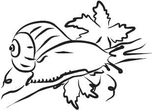 Самая нужная книга для самого нужного места. 1000 невероятных фактов, которых вы не знали - i_135.png