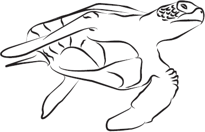 Самая нужная книга для самого нужного места. 1000 невероятных фактов, которых вы не знали - i_140.png