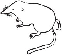 Самая нужная книга для самого нужного места. 1000 невероятных фактов, которых вы не знали - i_148.png