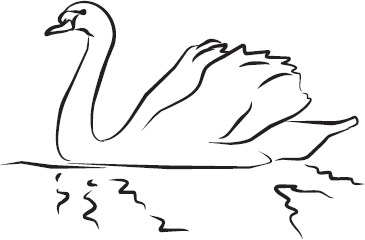 Самая нужная книга для самого нужного места. 1000 невероятных фактов, которых вы не знали - i_149.png