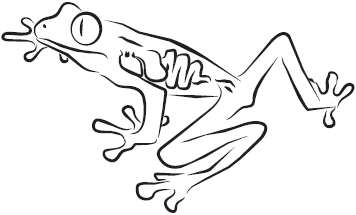 Самая нужная книга для самого нужного места. 1000 невероятных фактов, которых вы не знали - i_156.png