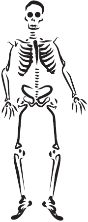 Самая нужная книга для самого нужного места. 1000 невероятных фактов, которых вы не знали - i_157.png