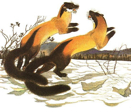 Золотая Ригма - i_051.jpg