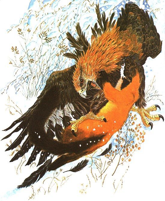 Золотая Ригма - i_052.jpg