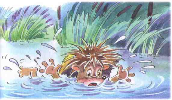 Жили-были ежики - i_025.jpg