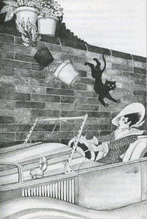 Последний чёрный кот - i_012.jpg