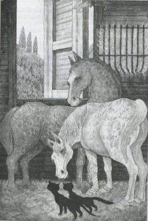 Последний чёрный кот - i_019.jpg