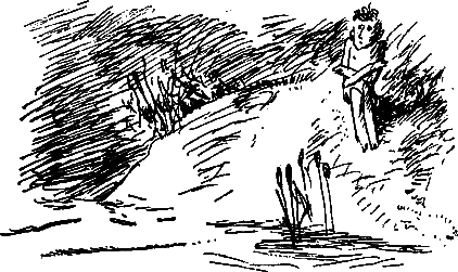 Операция «Бременские музыканты» - i_044.png