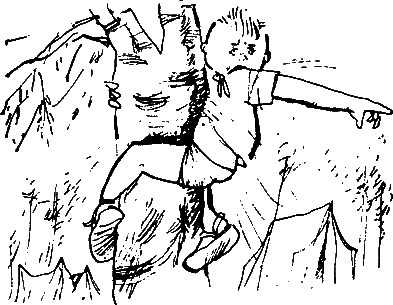 Операция «Бременские музыканты» - i_055.png