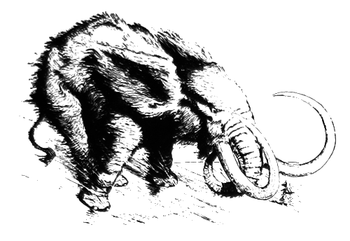 Немножко не то пожарное авто, или Джинн Инисе-Инито - i_018.png