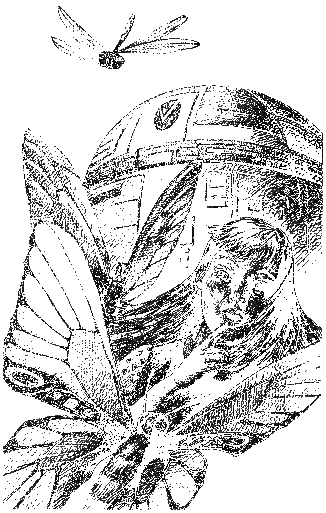 Невероятные истории. В Тридевятом царстве и другие сказочные повести - i_022.png