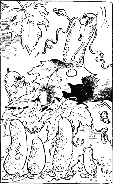 Семейная библиотека. Выпуск восьмой - i_036.png