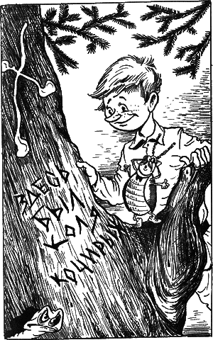 Сказочные повести. Выпуск пятый - i_058.png