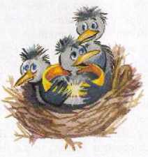 Великая тайна Хомы и Суслика - i_035.jpg